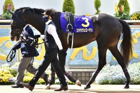 「行方不明」疑惑ステラヴェローチェが富士Sで待望復帰も…川田将雅が期待した実力馬は「1年8ヶ月」音沙汰なし、2頭の再対決を望む声も