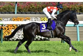 G1級の「超豪華メンバー」が参戦する富士Sのここが凄い！ 「行方不明疑惑」ステラヴェローチェも1年半ぶりに登場…実力伯仲の混戦は菊花賞以上？