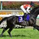 JRA「リスグラシュー2世」が出世レースでポスト・コントレイルに名乗り!? 「プチスランプ」矢作芳人厩舎を救えるか!