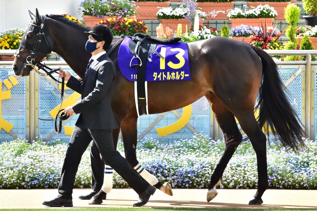 JRA【セントライト記念（G2）展望】菊花賞（G1）前哨戦は三つ巴!? 皐月賞（G1）2着タイトルホルダーVS良血オーソクレース＆ルペルカーリアの画像1