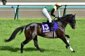 JRA「単勝1倍台」グラスワンダーが、マンハッタンカフェが轟沈……「亡霊説」まで飛び出した日経賞（G2）の”魔物”に、今年の大本命馬タイトルホルダーが挑む