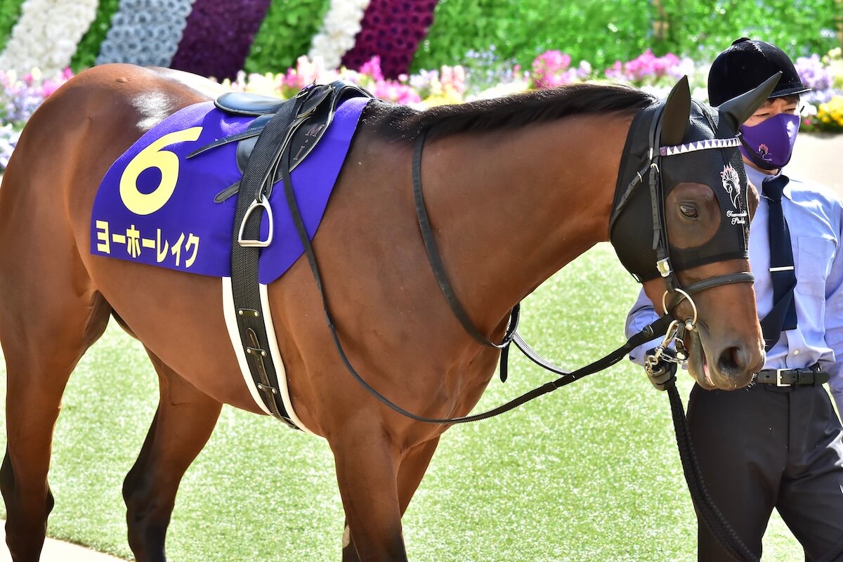 金鯱賞（G2）展望】“低レベル疑惑”4歳牡馬最後の砦？ 天皇賞・春（G1 