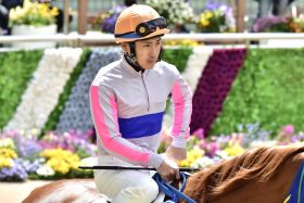 JRAキングカメハメハ「最後の大物」は三冠馬の弟!?　ジェンティルドンナの弟スレイマンが1.9秒差の大差勝ち！