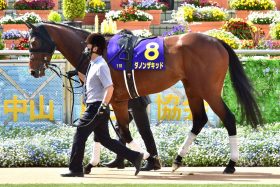 JRA コントレイル、サートゥルナーリアとの決定的な違いとは？ 皐月賞惨敗ダノンザキッドが歩むのはアノ馬と同じいばらの道か