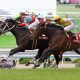 JRA 天皇賞・春(G1)メロディーレーン森田直行調教師がまさかの「ダメ出し」!?さらには衝撃の「重め残り」も……新コンビ池添謙一騎手に託された期待