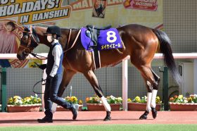 JRA武豊「離脱濃厚」のメイケイエールはアストンマーチャンになれるのか。「こういう時は走るってユタカが」大逆転のスプリンターズS（G1）制覇へ問われる「厩舎力」と「代役騎手」