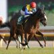JRA ソダシはアーモンドアイ、グランアレグリア級!? 桜花賞(G1)歴史的名馬に匹敵を匂わせる「衝撃」サインとは