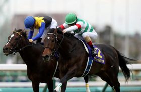【JRA皐月賞・人気馬総崩れか!?】ダノンザキッド、エフフォーリア危険？どの馬を勝たせたいのか、お抱え騎手の配置関係で、獲れる根拠ありの穴馬でまさかの結論
