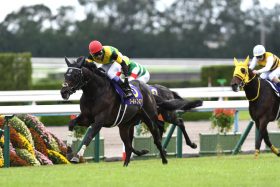 JRA 天皇賞・春（G1）アリストテレスの抱える致命的な「爆弾」とは!? 関係者も危惧する巻き返しへ課題、コントレイルを追い詰めたからこそ弱点が浮き彫りに