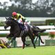 JRA 凱旋門賞(G1)コントレイル「逃亡」でディープボンドと立場逆転!? 国内専念で問われる三冠馬の品格…… 絶望的となった父ディープインパクト超え