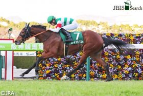 JRAエリザベス女王杯（G1）「339万馬券」演出はソダシも餌食となった阪神の激流に伏線、レイパパレ敗因は「距離」だけじゃない!?