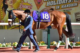 JRA C.ルメール騎乗サトノレイナスが日本ダービー（G1）視野!? ウオッカVSダイワスカーレット「2007年」牝馬クラシック彷彿のメンバーに歴史的名牝の可能性