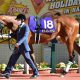 JRA ソダシはアーモンドアイ、グランアレグリア級!? 桜花賞(G1)歴史的名馬に匹敵を匂わせる「衝撃」サインとは
