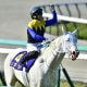 JRA ソダシはアーモンドアイ、グランアレグリア級!? 桜花賞(G1)歴史的名馬に匹敵を匂わせる「衝撃」サインとは