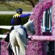 JRA ソダシはアーモンドアイ、グランアレグリア級!? 桜花賞(G1)歴史的名馬に匹敵を匂わせる「衝撃」サインとは