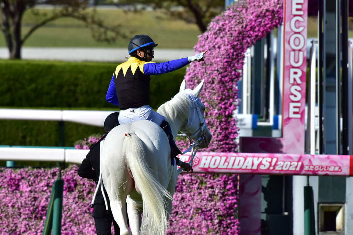 JRA ソダシ、サトノレイナスとグランアレグリア、デアリングタクトの共通点。今年の桜花賞（G1）も「上位6着」まで独占……王道の不要説を証明？の画像1