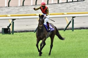 JRAマイルCS（G1）距離短縮グランアレグリアに「意外」な落とし穴!? 連覇狙う女王に昨年と違い過ぎる割引条件テンコ盛り？