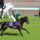 JRA クラシック未出走の4歳馬が天皇賞・春(G1)に向けて「勝ち確」宣言!? ユーバーレーベンらに続くゴールドシップ産駒の「超新星」
