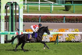 JRAステラヴェローチェは「絶対的」存在なのか!? 日経新春杯（G2）大本命馬に忍び寄る「負」のスパイラル