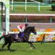 JRA「ルメールより上」ノーザンファーム関係者も大絶賛! 「規制頼み」の日本人騎手相手にC.デムーロが残した大きな爪痕