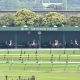 JRA 「三冠、凱旋門賞まで意識している馬」三冠トレーナーが絶賛した大物候補がリベンジマッチ!? POG大人気馬は「第二のオジュウチョウサン」となれるか
