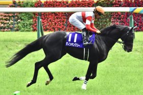 JRA【毎日王冠（G2）展望】安田記念覇者ダノンキングリーが始動！　3歳マイル王シュネルマイスターはC.ルメールと再コンビで「0秒1差」逆転狙う