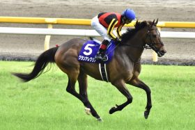 わずか「2年足らず」でグランアレグリアに並んだヤマニンウルスの成長力…ダートの怪物はクロノジェネシスとも共通点