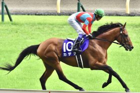 武豊、福永祐一と目指したクラシック…捨てられた元エリートが最も輝いた瞬間