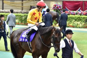 JRA「強行軍」の真相をオーナーが告白！ 中山記念（G2）「有力馬」カラテがあえて1800mを使うわけ