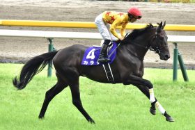 JRA【マイラーズC（G2）展望】カラテ中心も「エア軍団」2頭に要警戒、群雄割拠「マイル路線」を象徴する大混戦！