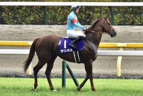 サリオス「復活」に安藤勝己氏も鼻高々!? 「引退する頃には……」2年前の予言