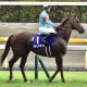 JRA 武豊「今後が楽しみです」あの逸材が年末のホープフルS(G1)を回避……それでも僅かに残された「年内G1完全制覇」の可能性