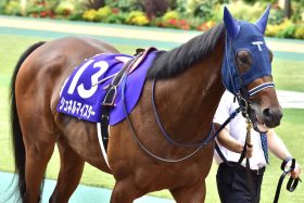 JRA サンデーレーシング有力3歳が揃って「毎日王冠」に参戦する背景とは？ 結果次第で中距離路線「戦国時代」突入も