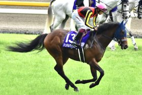 JRAマイルCS（G1）苦しい「本音と建前」が見え隠れ!? 秋G1「裏切り続き」の厩舎がシュネルマイスターと汚名返上へ