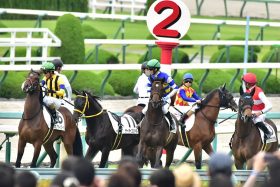 JRA「メンタル崩壊」大出遅れデビューにファンから悲鳴!?　放馬に絡まれ、鞍上落馬のアクシデント。馬体検査で「異常なし」が確認されたものの……
