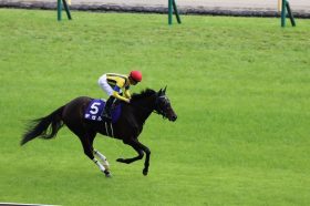 エリザベス女王杯（G1）前走大敗デゼルは「度外視」で問題なし!? 元JRA安藤勝己氏が指摘した負けても納得できるだけの十分な裏事情