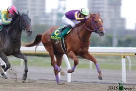 JRA カジノフォンテン主戦騎手へ「非情宣告」⁉ チャンピオンズC（G1）参戦の裏で生まれたライバル馬主戦からの“強奪”