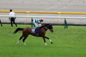 JRA 「やはり走りが重い」藤田伸二氏も感じた“異変”が原因!? 敗因は自身も目を背けた“現実逃避”か…