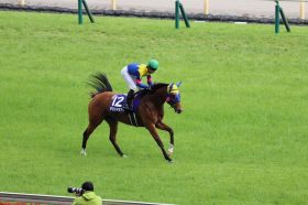 JRA 武豊「分からない」1番人気17着の大失敗!? マイルCS（G1）重賞3勝牝馬と運命の歯車変えた「あのレース」から約2年ぶりのリターンマッチ