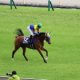 JRA 掲示板5着馬まで出走停止……武豊「半端じゃない」ベタ褒めの超大物がド派手デビュー! 早逝した世界賞金王の忘れ形見に「タイムオーバー被害」続々