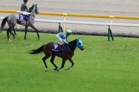 JRA D.レーン「2週連続ムチ連打」制裁に危機感!? ヴィクトリアマイル（G1）「テンダメ、中ダメ、終いダメ」の“無気力”騎乗に非難殺到？