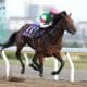 JRA川田将雅「ラチ大破の落馬事故」も神対応に絶賛の嵐! 突然のアクシデントも記者が見たトップジョッキーの「凄み」とは