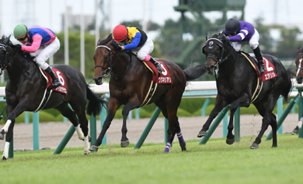 JRA神戸新聞杯で始動する日本ダービー馬シャフリヤールの“表情報と裏情報”とは……菊花賞までも狙える出走馬の裏ネタ！
