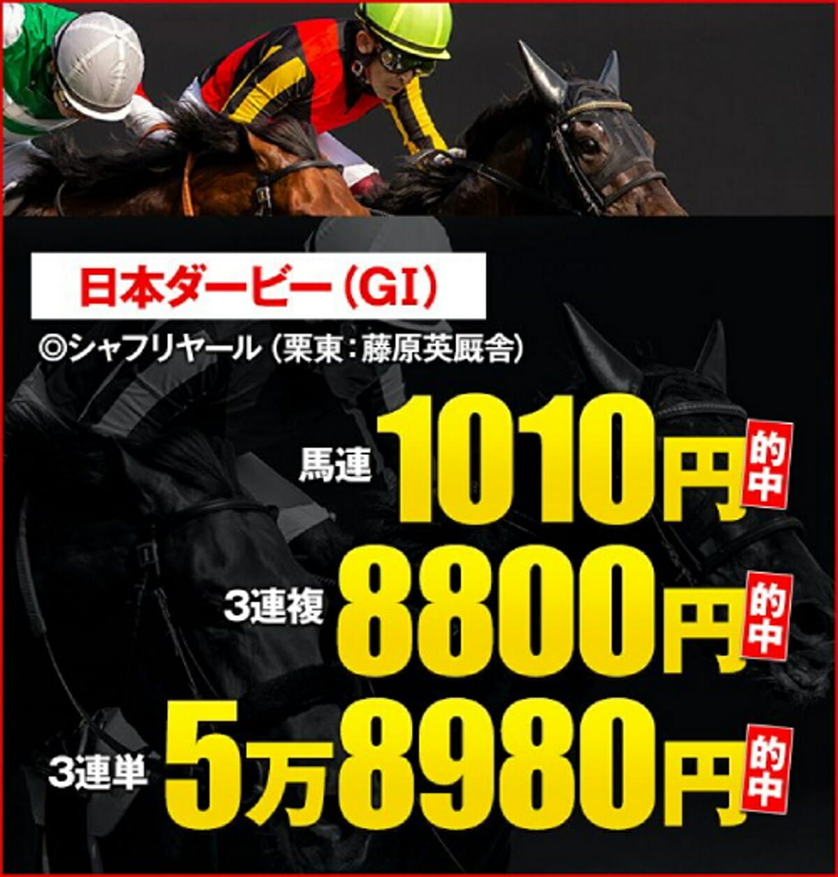 JRA神戸新聞杯で始動する日本ダービー馬シャフリヤールの“表情報と裏情報”とは……菊花賞までも狙える出走馬の裏ネタ!