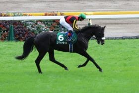 JRA【ホープフルS（G1）展望】武豊「G1完全制覇」リーチも強力ライバルに苦戦必至!?オニャンコポンも侮れない存在