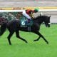 JRA 武豊「今後が楽しみです」あの逸材が年末のホープフルS(G1)を回避……それでも僅かに残された「年内G1完全制覇」の可能性