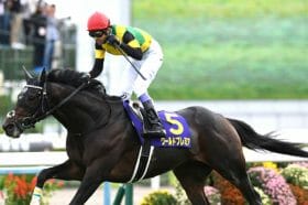 JRA菊花賞、10番人気以下で勝利したのはヒシミラクルただ1頭のみ、当時を振り返り異例の混戦レースを検証してみると…