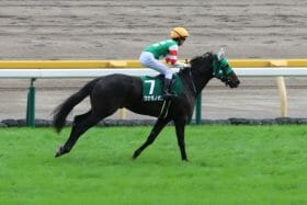JRA デイリー杯2歳S（G2）珍名馬の大活躍で知名度も「ウナギノボリ」！元祖珍名馬オーナー所有馬が2歳王者へ名乗りをあげるか⁉