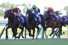 JRAエリザベス女王杯でアパパネの悲劇再び…、秋華賞馬アカイトリノムスメは母に続き「3着」までか？