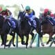 JRA アカイトリノムスメは「金取りの娘」!? 今年の秋華賞馬がエリザベス女王杯(G1)で信用するのが危険なワケ
